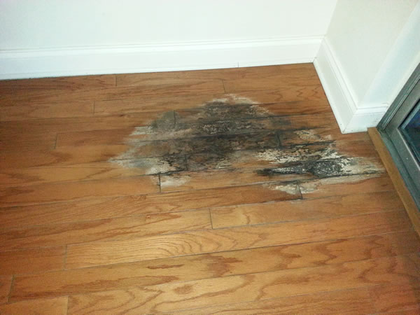Causes & Solutions for Hardwood Floor Water Damage