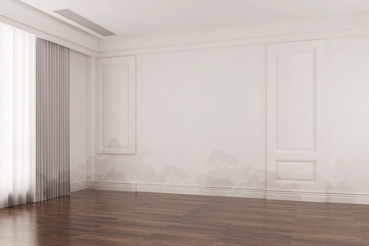 How To Determine The Age Of A Water Damage Problem