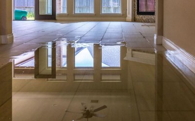 Leaving Water Damage Untreated