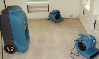 Can You Handle the Watery Mess in Your Kitchen?