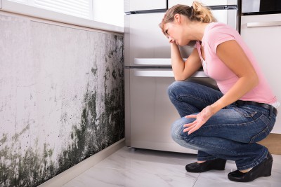 How Mold Can Damage Your House