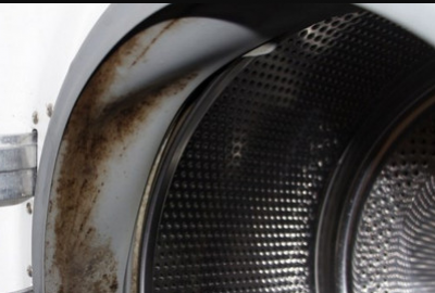 How to Eliminate Mold from Your Washing Machines