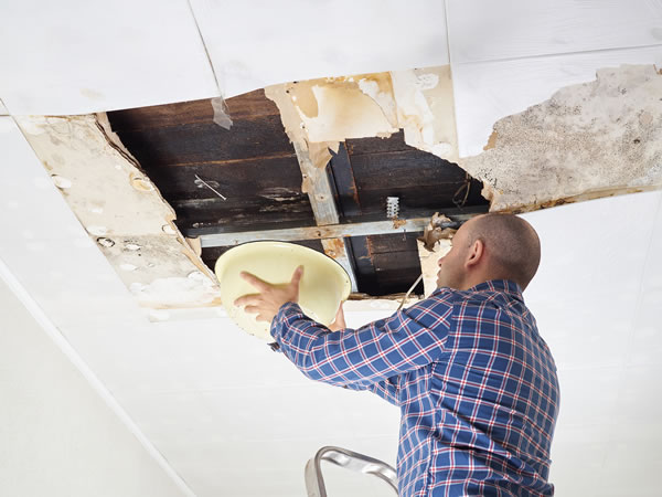 Homeowner Insurance and Water Damage